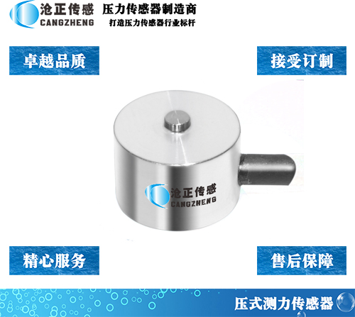 <font color='#FF0000'>CAZF-Y8微型壓力傳感器</font>