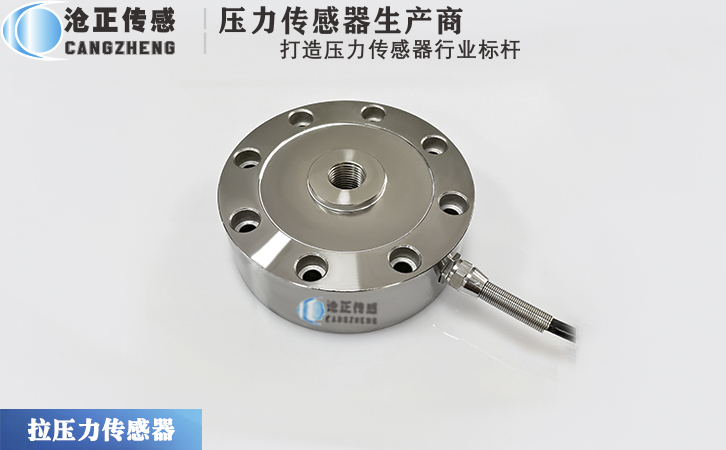 滄正力傳感器CAZF-LY88 滄正力傳感器CAZF-LY88