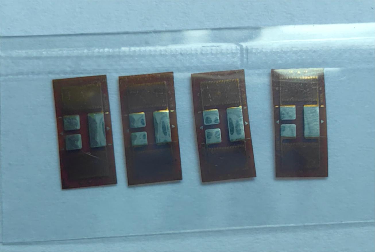 金屬應(yīng)變片實物圖 金屬應(yīng)變片實物圖